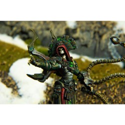 Warmachine - Orgoth Graveborn Command Cadre