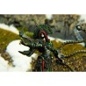 Warmachine - Orgoth Graveborn Command Cadre