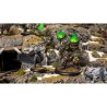 Warmachine - Orgoth Graveborn Command Cadre
