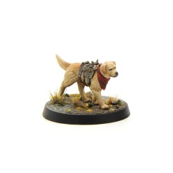 Fallout Wasteland Warfare - Wasteland Survivors Core Set (Plastic)