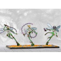 Conquest - Weaver Courts - Scaile Dancers