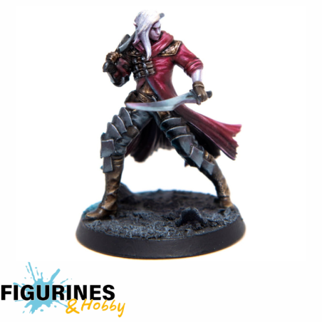 Eldfall Chronicles - Thenrin Swashbuckler ELDSMTS01