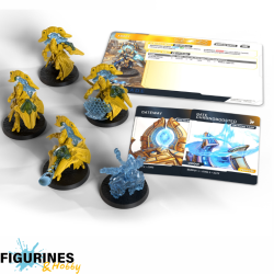 Préco - StarCraft - Protoss - Adept Expansion Set (ENG)