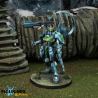 Infinity - Dragões, Acontecimento Dragoons