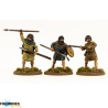 Victrix Dark Age Irish & Dogs – Figurines historiques