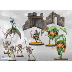 Conquest Weaver Courts First Blood Reinforcement Set