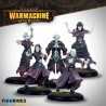 Préco - Warmachine - Dusk Fane of Nyrro - Court of Shadows