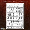 Victrix Imperial Roman Warband – 41 figurines