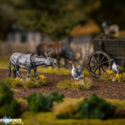 Victrix Farm Animals | Animaux Ferme Médiévale