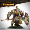Warmachine Menoth Bastions of Faith – Covenant of the Flame