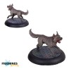 Carnevale – Kennel Master (ENG) | 3 figurines