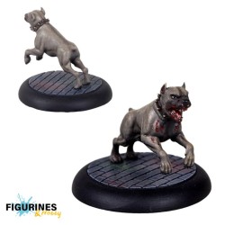 Carnevale – Kennel Master (ENG) | 3 figurines