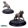 Carnevale – Kennel Master (ENG) | 3 figurines