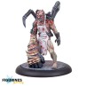 TTCGR-DOC-018- Carnevale - The Entomologist (ENG)