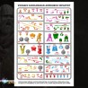Victrix – Carolingian Armoured Infantry | 36 figurines