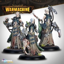 Warmachine Cryx Necrofactorium – Wraithbinder’s Host